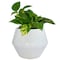 Trendspot Trendspot Rena 6.5 in. H X 8 in. W X 8 in. D X 8 in. D Ceramic Planter White CR01474N-08W - alternate 2